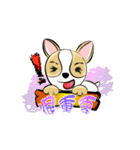 dog (chihuahua)（個別スタンプ：14）