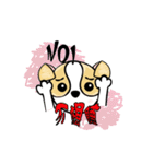 dog (chihuahua)（個別スタンプ：17）