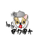 dog (chihuahua)（個別スタンプ：21）