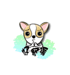 dog (chihuahua)（個別スタンプ：22）