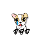 dog (chihuahua)（個別スタンプ：23）