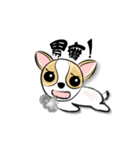 dog (chihuahua)（個別スタンプ：25）