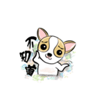 dog (chihuahua)（個別スタンプ：28）