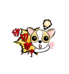 dog (chihuahua)（個別スタンプ：29）