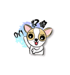 dog (chihuahua)（個別スタンプ：30）