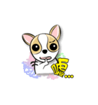 dog (chihuahua)（個別スタンプ：31）