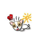 dog (chihuahua)（個別スタンプ：32）