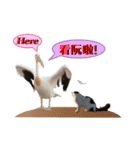 daily talk between animals (1)（個別スタンプ：2）