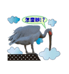 daily talk between animals (1)（個別スタンプ：9）