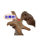 daily talk between animals (1)（個別スタンプ：14）