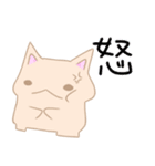 めたねこ（個別スタンプ：10）