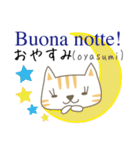 可愛い猫のイタリア語と日本語（ルビ付）（個別スタンプ：13）