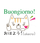 可愛い猫のイタリア語と日本語（ルビ付）2（個別スタンプ：2）