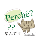 可愛い猫のイタリア語と日本語（ルビ付）2（個別スタンプ：24）