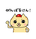 赤ヘル猫のヒナチロ（広島弁Ver.）（個別スタンプ：23）
