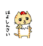 赤ヘル猫のヒナチロ（広島弁Ver.）（個別スタンプ：31）