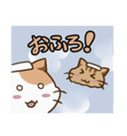 ドットねこ（個別スタンプ：12）