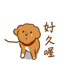 Cutie Puppy Of Paradise（個別スタンプ：10）