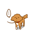 Cutie Puppy Of Paradise（個別スタンプ：16）