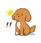 Cutie Puppy Of Paradise（個別スタンプ：40）