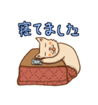 きままネコ（個別スタンプ：12）