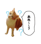 猫に夢中！ 2（個別スタンプ：7）