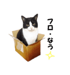 猫に夢中！ 2（個別スタンプ：18）