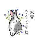 もふもふウサギ 2（個別スタンプ：3）