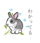 もふもふウサギ 2（個別スタンプ：12）