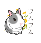 もふもふウサギ 2（個別スタンプ：24）