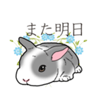 もふもふウサギ 2（個別スタンプ：40）