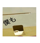 可愛い動物写真（個別スタンプ：3）