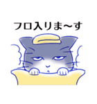 つんでれねこ はる吉の日常（個別スタンプ：9）