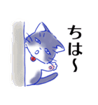 つんでれねこ はる吉の日常（個別スタンプ：18）