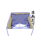 つんでれねこ はる吉の日常（個別スタンプ：27）