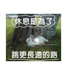 My name is rabbit.（個別スタンプ：9）