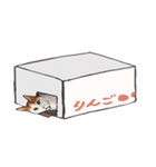 モチ猫テオ（個別スタンプ：10）