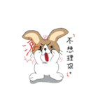 Dumbfounded rabbit（個別スタンプ：7）