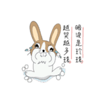 Dumbfounded rabbit（個別スタンプ：9）