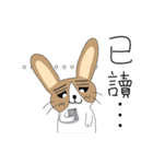 Dumbfounded rabbit（個別スタンプ：24）