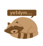 Cute turkmen racoon（個別スタンプ：6）