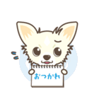 我が家のMIX犬 チョロ助（個別スタンプ：23）