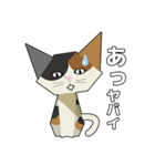 折り紙ネコ (三毛猫)（個別スタンプ：12）