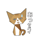 折り紙ネコ (茶トラ猫)（個別スタンプ：12）