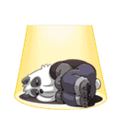 Panda-DOHS 1.5（個別スタンプ：6）