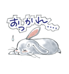 うさぎのポポちゃん（個別スタンプ：5）