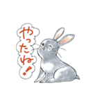 うさぎのポポちゃん（個別スタンプ：8）