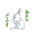 うさぎのポポちゃん（個別スタンプ：13）