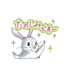うさぎのポポちゃん（個別スタンプ：14）