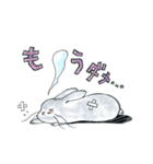 うさぎのポポちゃん（個別スタンプ：17）